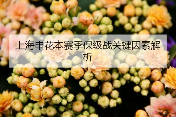 上海申花本赛季保级战关键因素解析